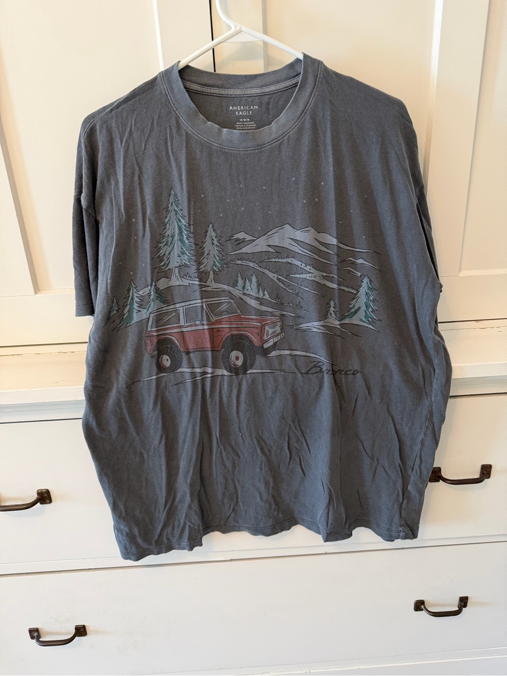 American Eagle Outfitters Gray Graphic Tee with Red Truck